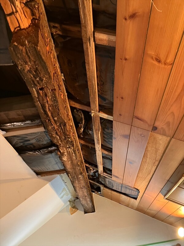 梁の傷んだ部分は天井をはがして痛み具合をチェック、補修方法を相談します。